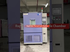 Sensore di temperatura di umidità di precisione Camera di prova di calore umido per ambienti di prova diversi